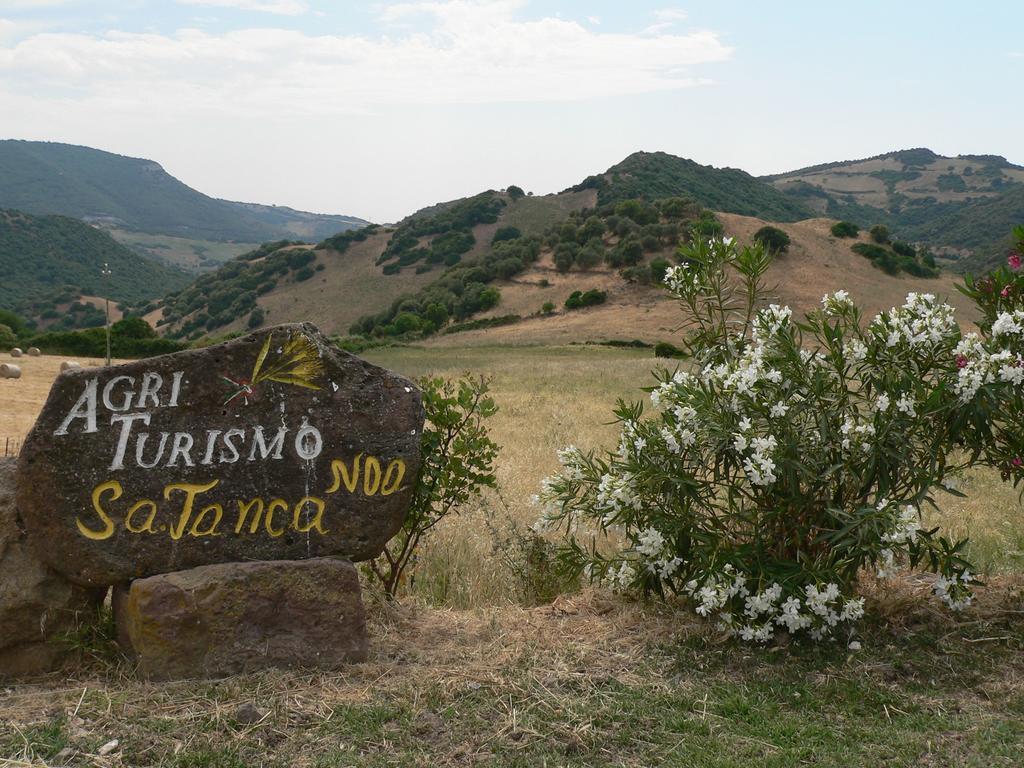 Agriturismo Sa Tanca Noa Tergu エクステリア 写真