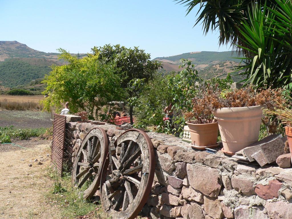 Agriturismo Sa Tanca Noa Tergu エクステリア 写真