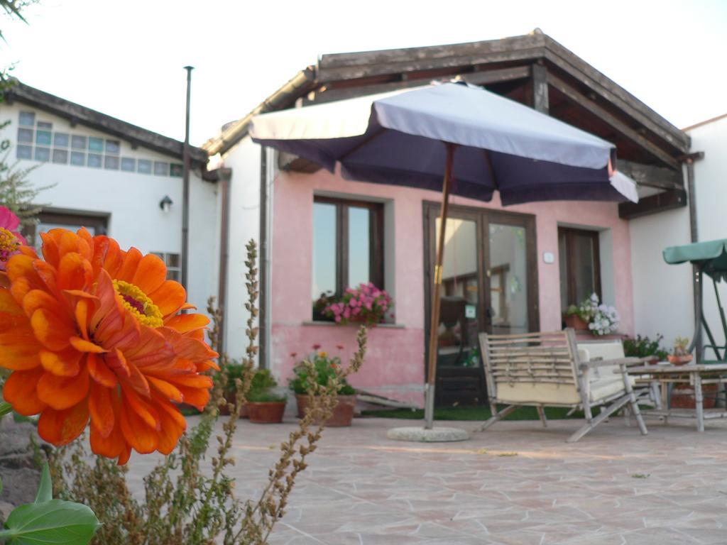 Agriturismo Sa Tanca Noa Tergu エクステリア 写真