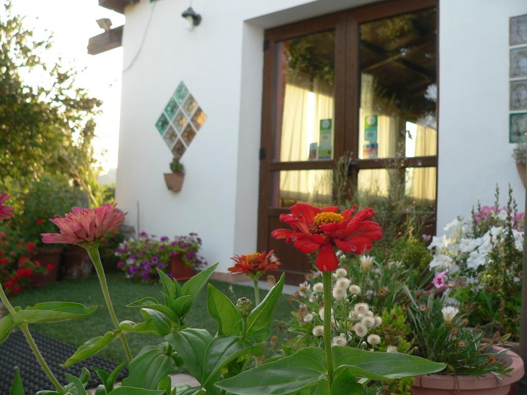 Agriturismo Sa Tanca Noa Tergu エクステリア 写真