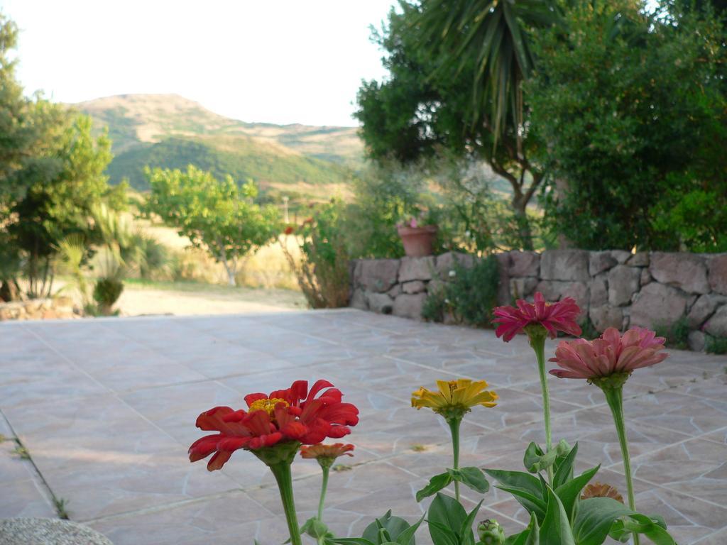 Agriturismo Sa Tanca Noa Tergu エクステリア 写真