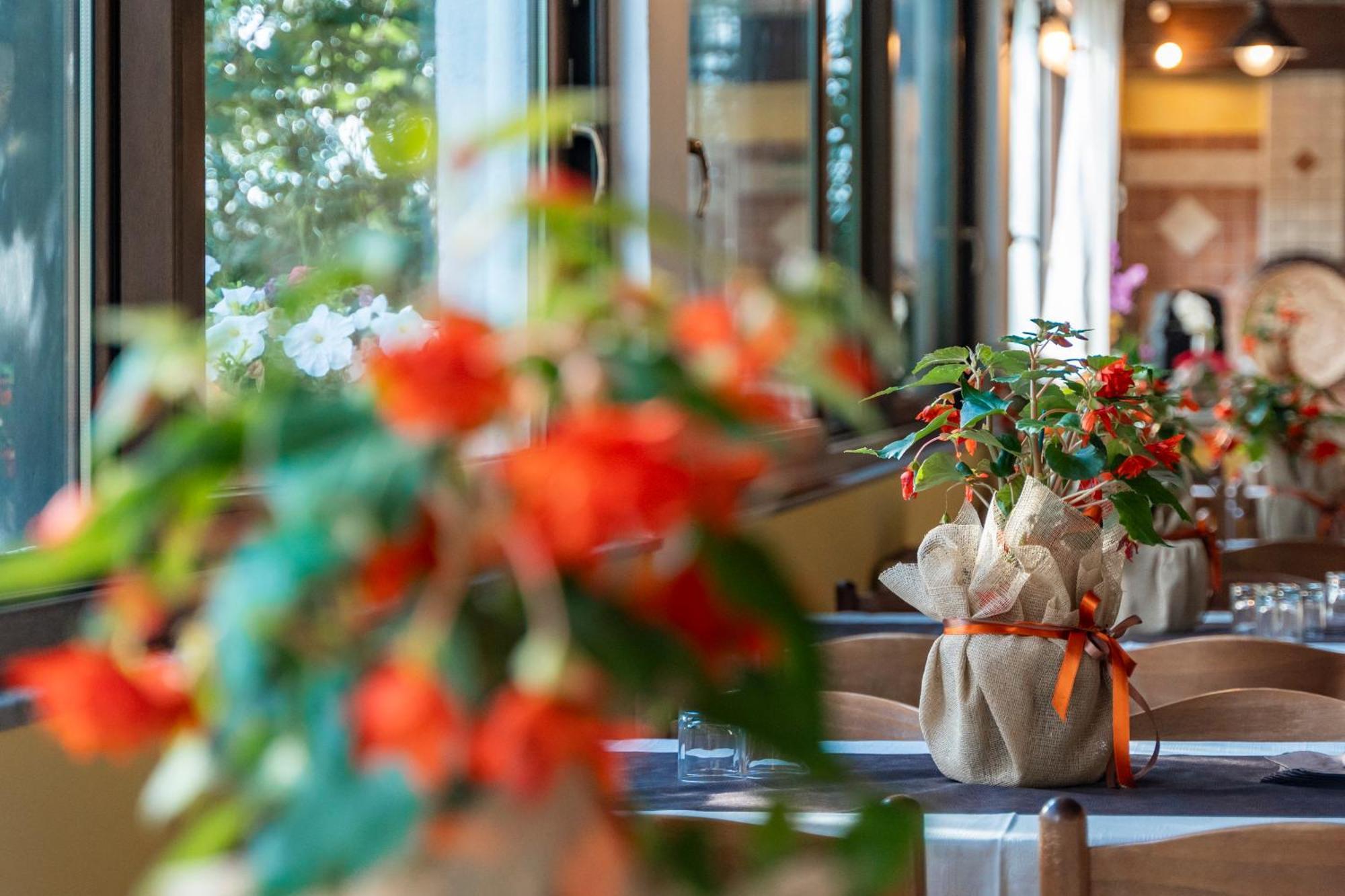 Agriturismo Sa Tanca Noa Tergu エクステリア 写真