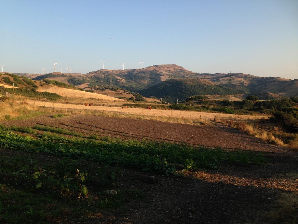 Agriturismo Sa Tanca Noa Tergu エクステリア 写真