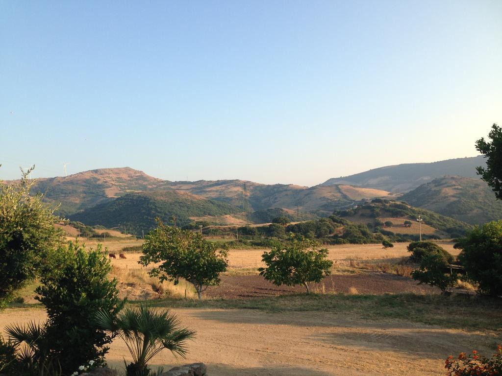 Agriturismo Sa Tanca Noa Tergu エクステリア 写真
