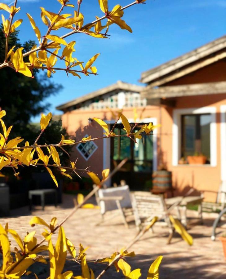 Agriturismo Sa Tanca Noa Tergu エクステリア 写真