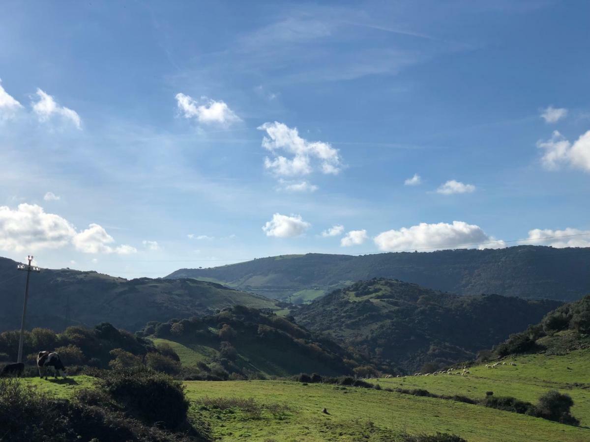 Agriturismo Sa Tanca Noa Tergu エクステリア 写真