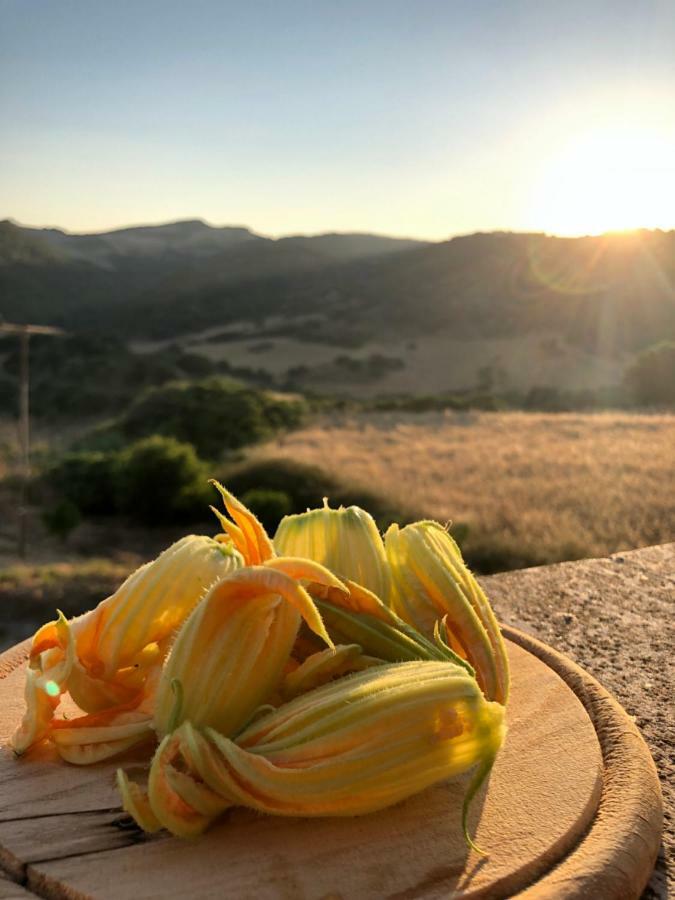 Agriturismo Sa Tanca Noa Tergu エクステリア 写真